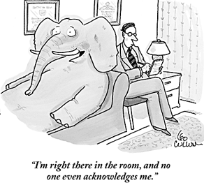 Elephant in the Room