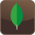 Icon_MongoDB
