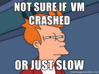 slow-vm