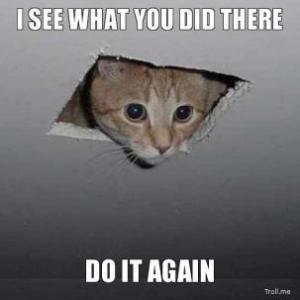 i-see-what-you-did-there-do-it-again-cat
